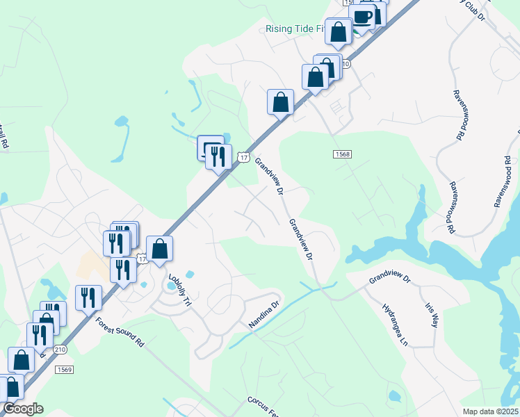 map of restaurants, bars, coffee shops, grocery stores, and more near 204 Heartwood Drive in Hampstead