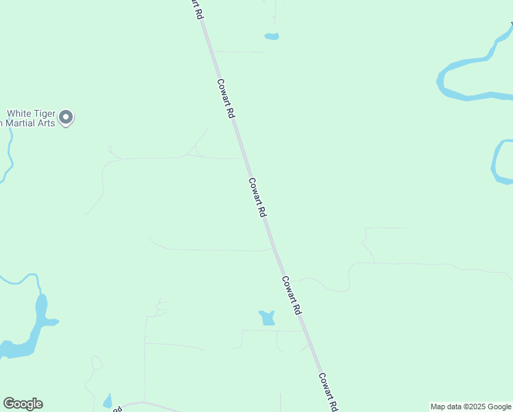 map of restaurants, bars, coffee shops, grocery stores, and more near 1516 Cowart Road in Dawsonville