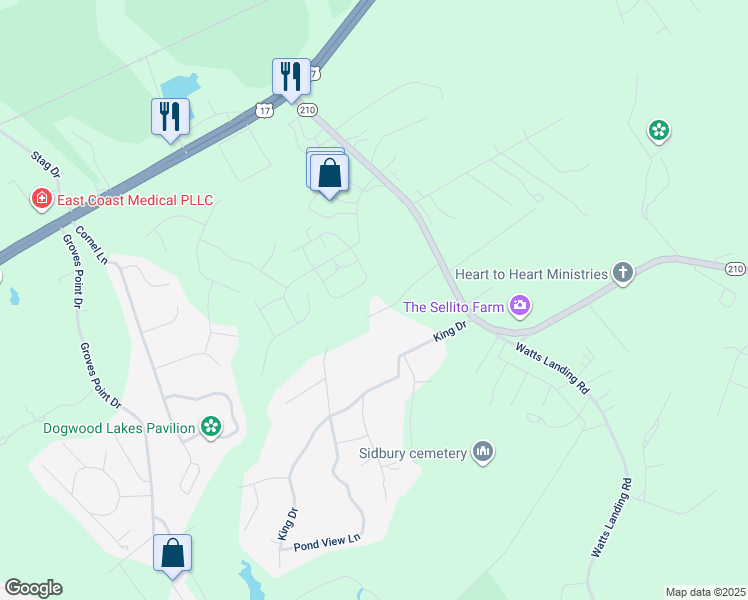 map of restaurants, bars, coffee shops, grocery stores, and more near 206 Dandelion Lane in Hampstead