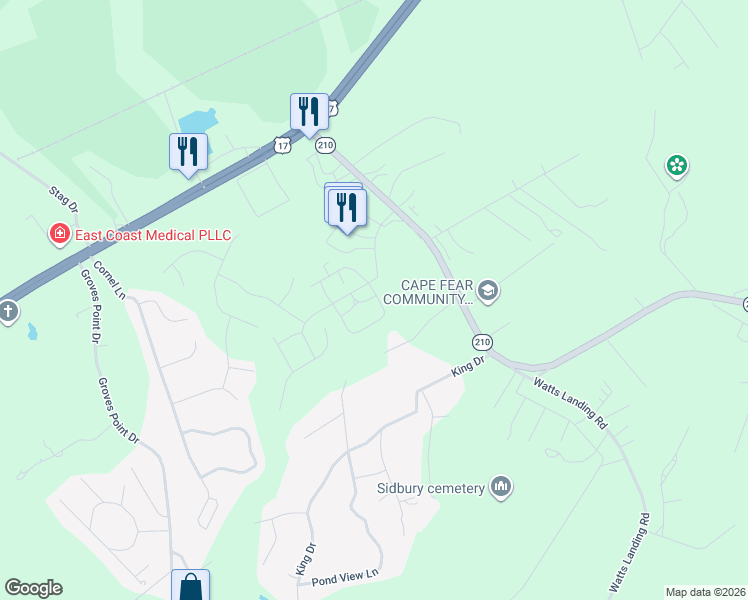 map of restaurants, bars, coffee shops, grocery stores, and more near 206 Dandelion Lane in Hampstead