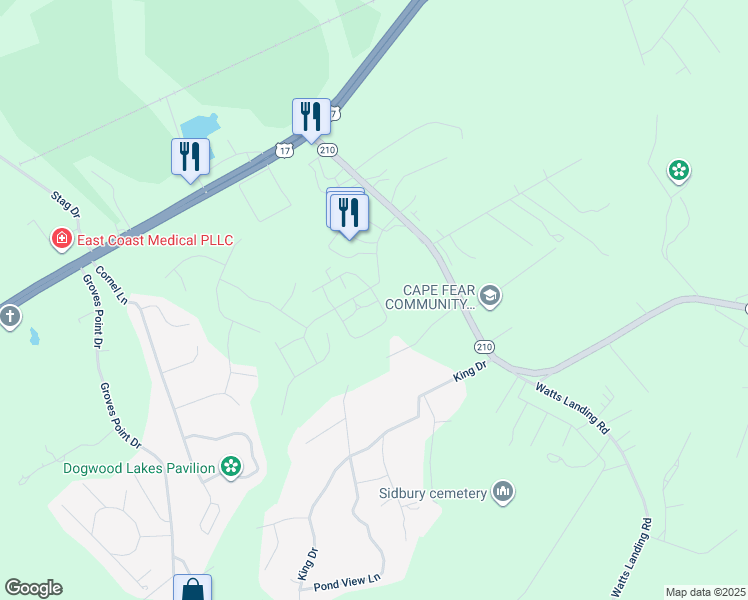 map of restaurants, bars, coffee shops, grocery stores, and more near 206 Dandelion Lane in Hampstead