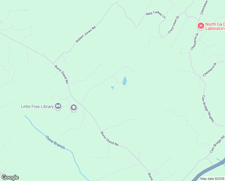 map of restaurants, bars, coffee shops, grocery stores, and more near 422 Charlie Lemley Road in Dawsonville