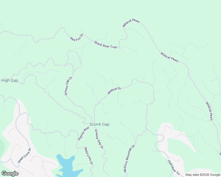 map of restaurants, bars, coffee shops, grocery stores, and more near 2152 Wildcat Drive in Dawsonville
