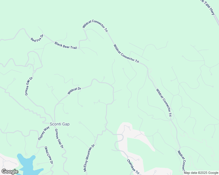 map of restaurants, bars, coffee shops, grocery stores, and more near 2197 McElroy Mountain Drive in Dawsonville
