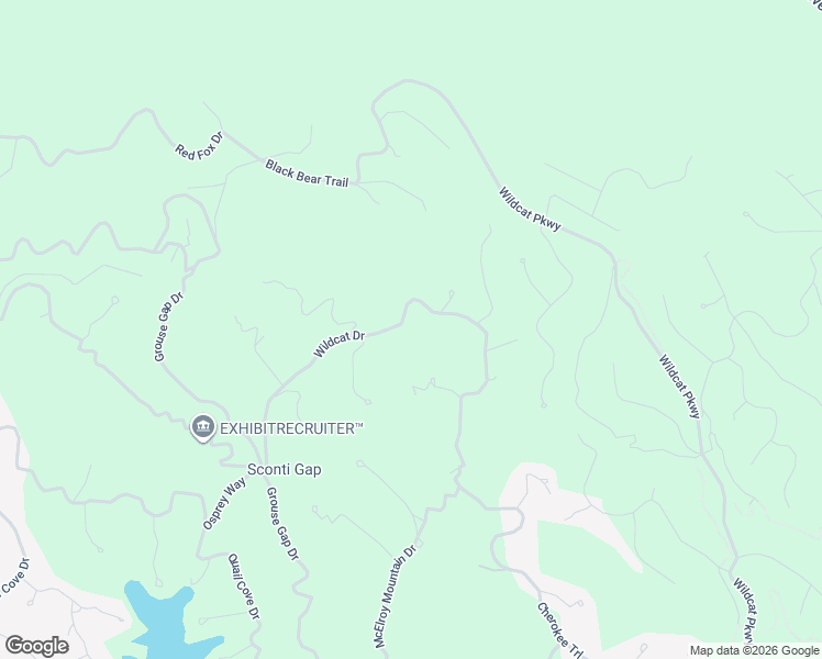 map of restaurants, bars, coffee shops, grocery stores, and more near 2192 Wildcat Drive in Dawsonville