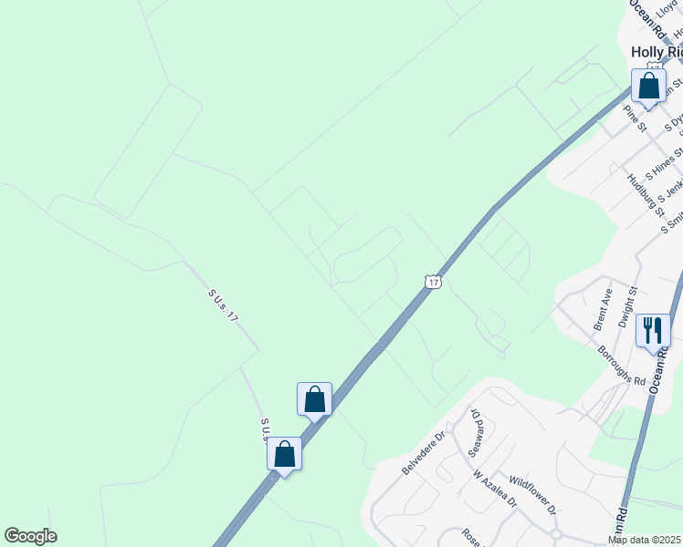 map of restaurants, bars, coffee shops, grocery stores, and more near 1001 VIctory Lap Lane in Holly Ridge