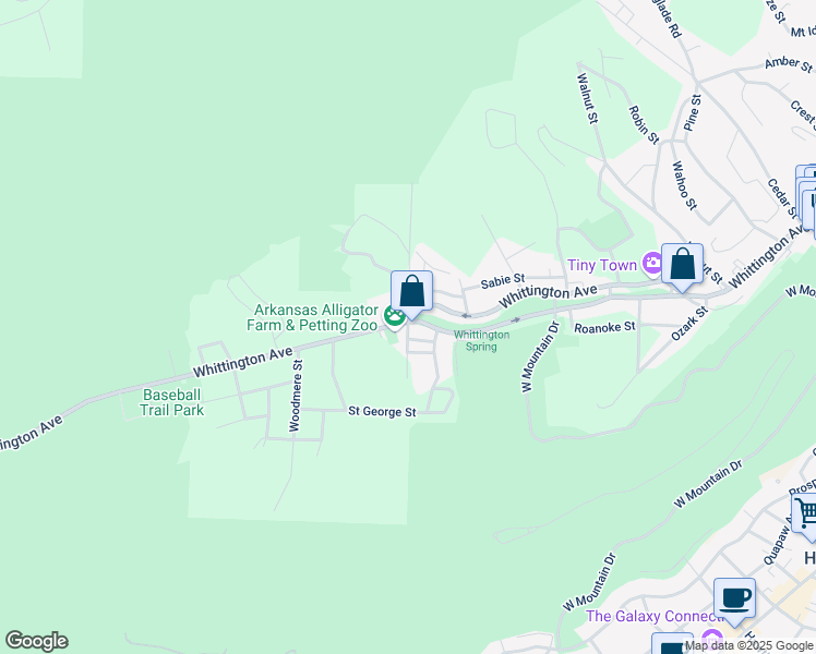 map of restaurants, bars, coffee shops, grocery stores, and more near Woodfin Street in Hot Springs