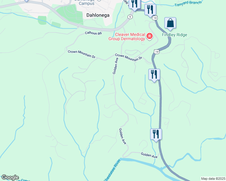 map of restaurants, bars, coffee shops, grocery stores, and more near 200 Golden Avenue in Dahlonega