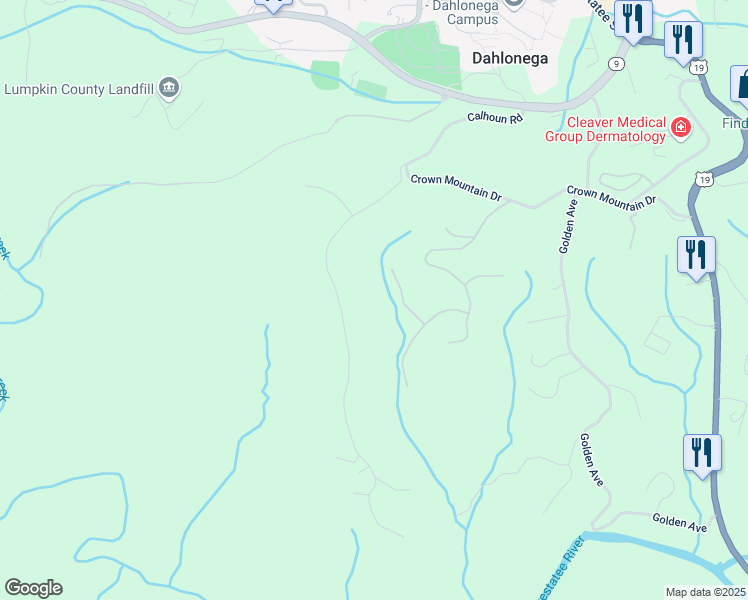 map of restaurants, bars, coffee shops, grocery stores, and more near 99 Madeline Anthony Road in Dahlonega