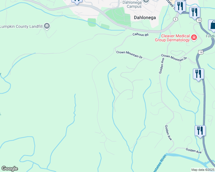 map of restaurants, bars, coffee shops, grocery stores, and more near 99 Madeline Anthony Road in Dahlonega
