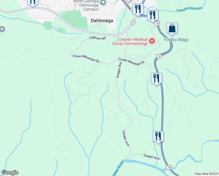 map of restaurants, bars, coffee shops, grocery stores, and more near 200 Golden Avenue in Dahlonega