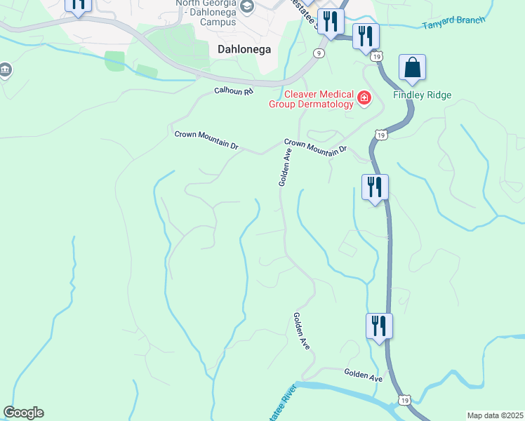 map of restaurants, bars, coffee shops, grocery stores, and more near 200 Golden Avenue in Dahlonega