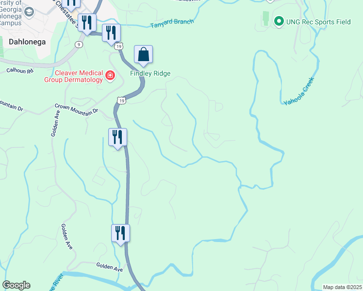 map of restaurants, bars, coffee shops, grocery stores, and more near 479 Stoneybrook Drive in Dahlonega