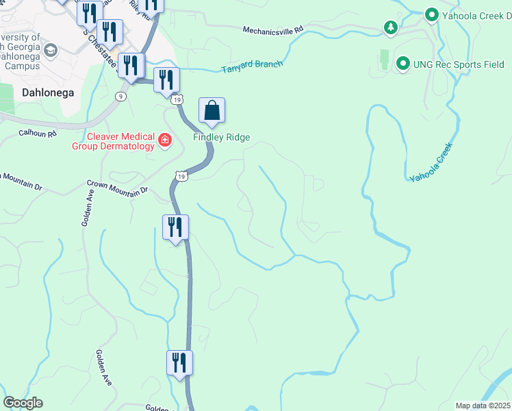 map of restaurants, bars, coffee shops, grocery stores, and more near 219 Stoneybrook Drive in Dahlonega