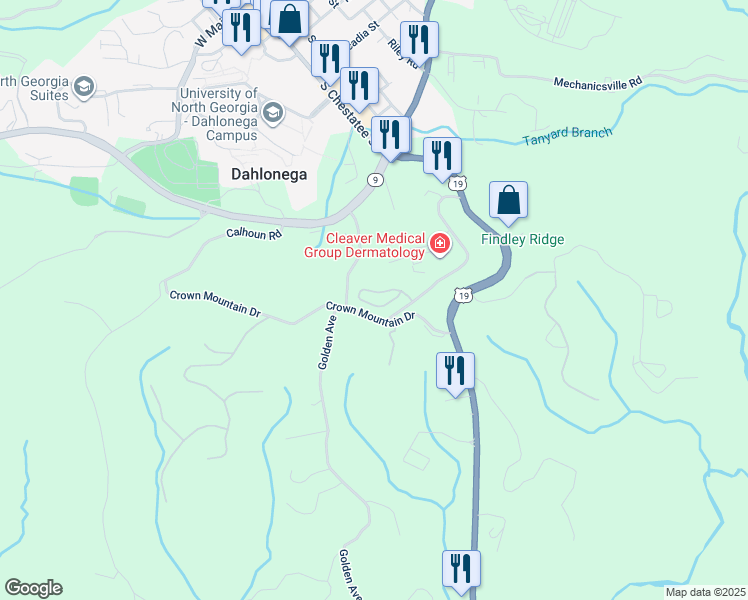 map of restaurants, bars, coffee shops, grocery stores, and more near 180 Village Drive in Dahlonega