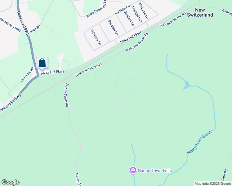map of restaurants, bars, coffee shops, grocery stores, and more near 541 Day Star Lane in Mount Airy