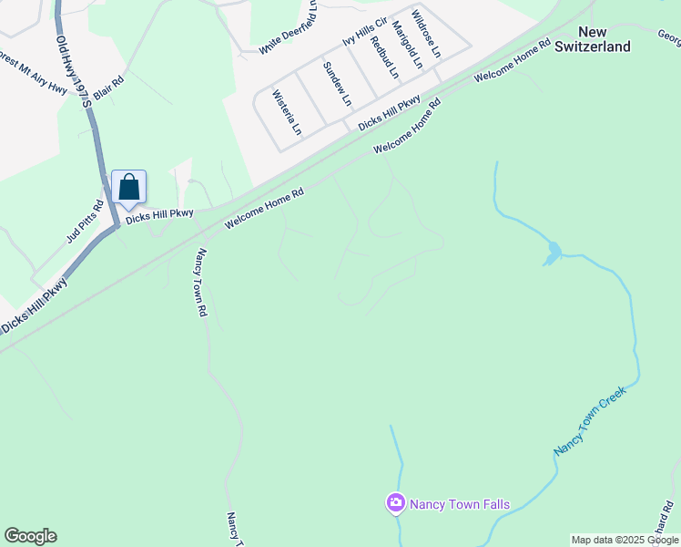 map of restaurants, bars, coffee shops, grocery stores, and more near 541 Day Star Lane in Mount Airy