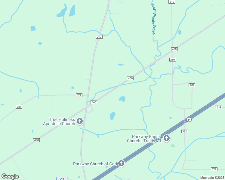 map of restaurants, bars, coffee shops, grocery stores, and more near 20369-20451 County Road 460 in Trinity