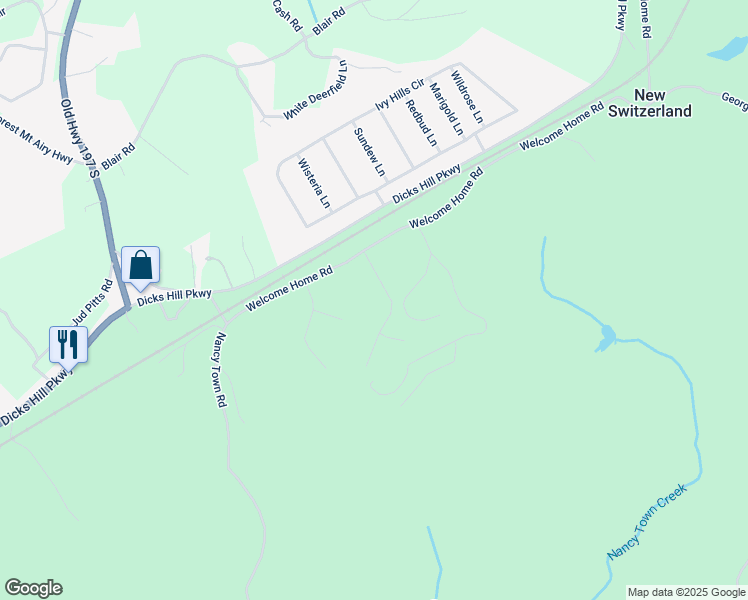 map of restaurants, bars, coffee shops, grocery stores, and more near 462 Day Star Lane in Mount Airy