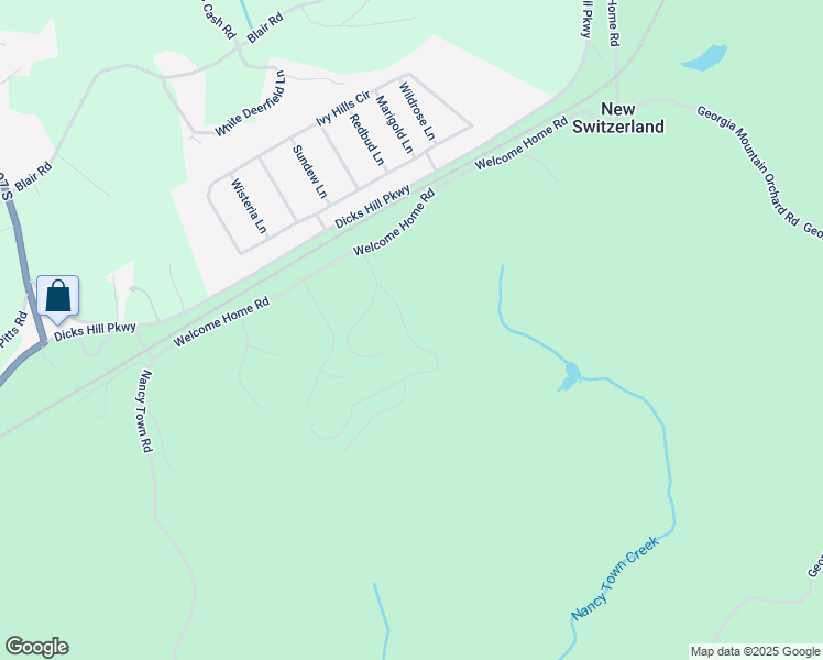 map of restaurants, bars, coffee shops, grocery stores, and more near 203 Russell Woods Dr. in Mount Airy