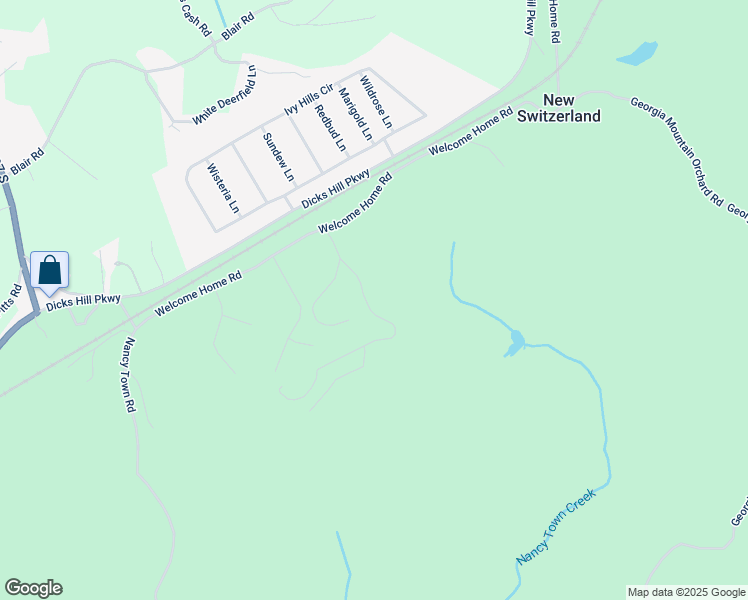 map of restaurants, bars, coffee shops, grocery stores, and more near 203 Russell Woods Dr. in Mount Airy