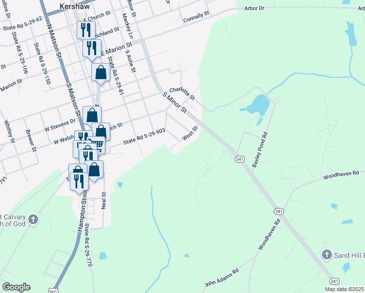 map of restaurants, bars, coffee shops, grocery stores, and more near 209 West Street in Kershaw