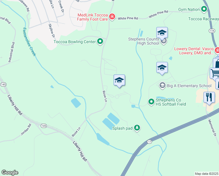 map of restaurants, bars, coffee shops, grocery stores, and more near 1315 Rose Lane in Toccoa