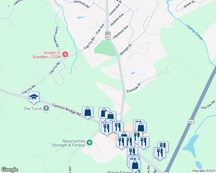 map of restaurants, bars, coffee shops, grocery stores, and more near 243 Charlie Batson Drive in Demorest