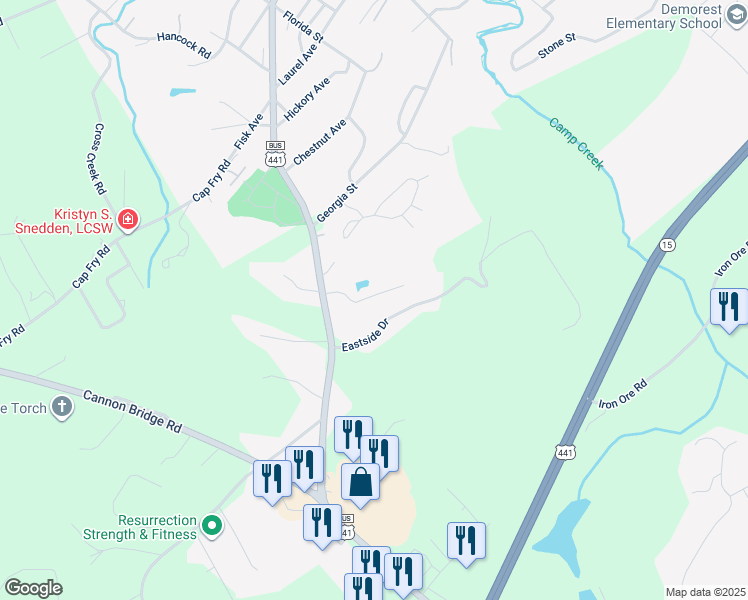 map of restaurants, bars, coffee shops, grocery stores, and more near 167 Eastside Drive in Demorest
