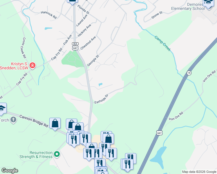 map of restaurants, bars, coffee shops, grocery stores, and more near 501 Hyde Park Lane in Demorest