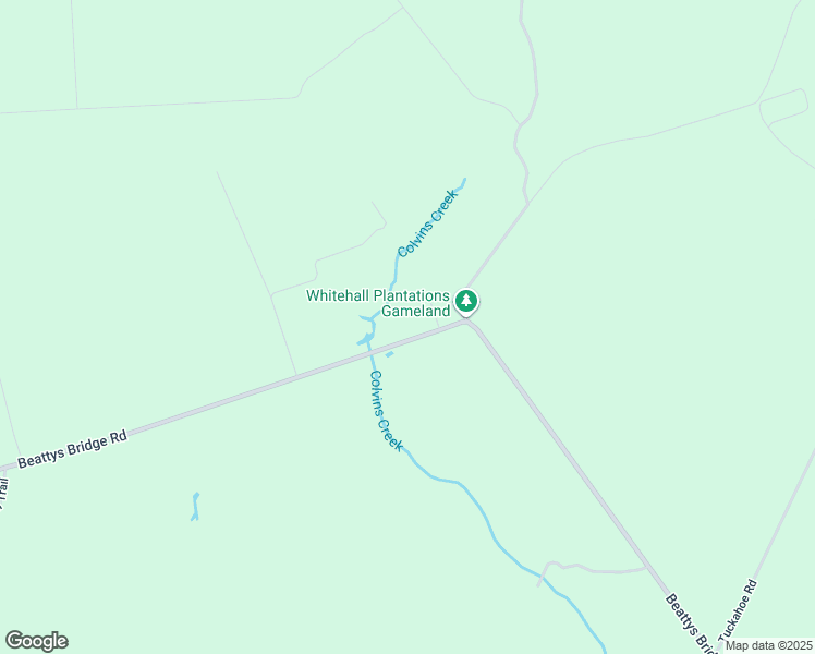 map of restaurants, bars, coffee shops, grocery stores, and more near 2430 Beattys Bridge Road in Atkinson