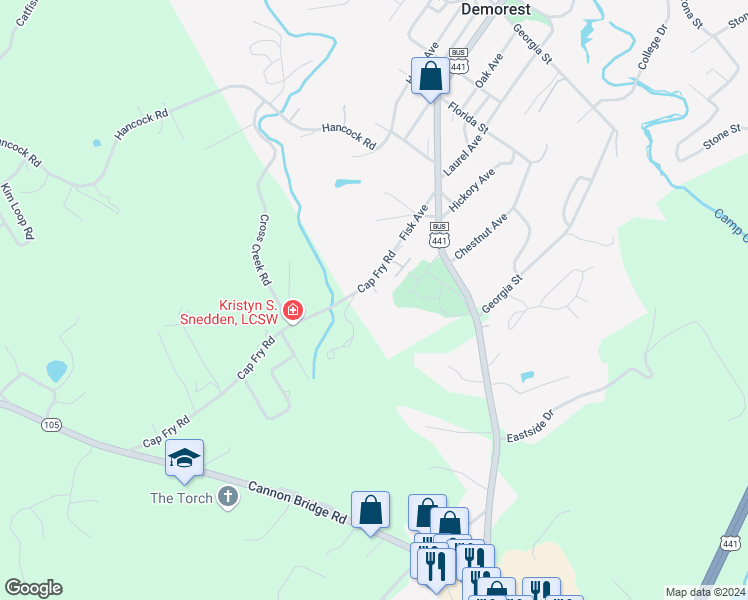map of restaurants, bars, coffee shops, grocery stores, and more near 105 Savannah Drive in Demorest
