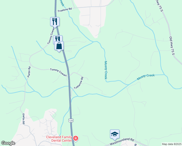 map of restaurants, bars, coffee shops, grocery stores, and more near 163 Totherow Road in Cleveland