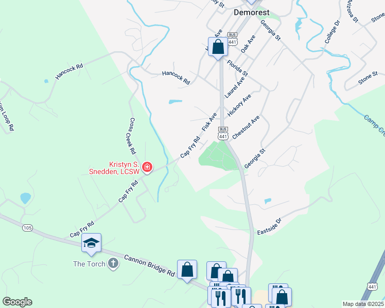 map of restaurants, bars, coffee shops, grocery stores, and more near 105 Savannah Drive in Demorest