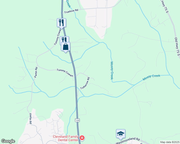 map of restaurants, bars, coffee shops, grocery stores, and more near 163 Totherow Road in Cleveland