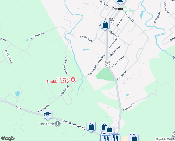 map of restaurants, bars, coffee shops, grocery stores, and more near 885 Cap Fry Road in Demorest