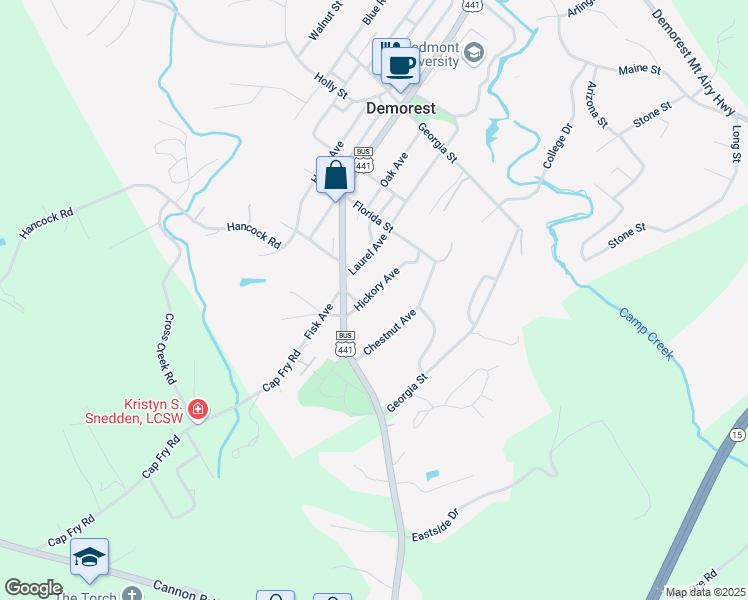 map of restaurants, bars, coffee shops, grocery stores, and more near 198 Hickory Avenue in Demorest