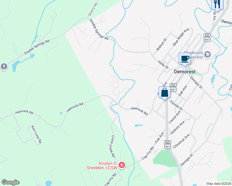 map of restaurants, bars, coffee shops, grocery stores, and more near 410 Spiral Hills Drive in Demorest