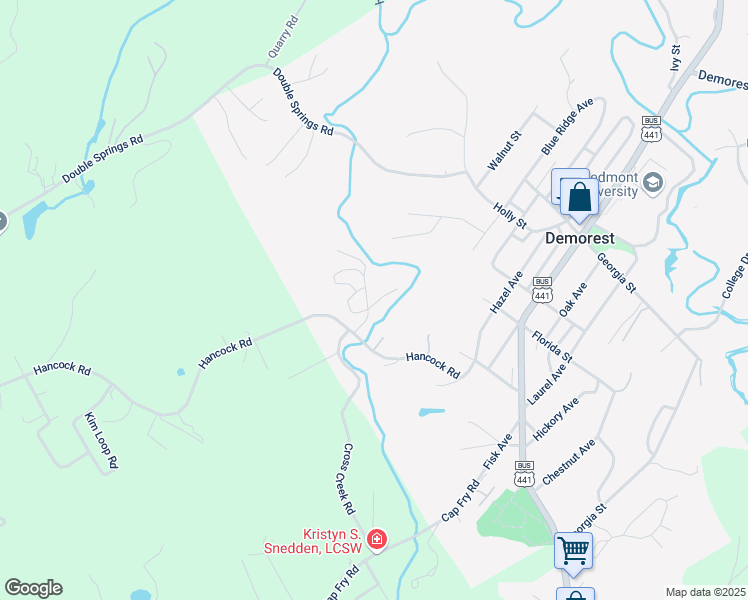 map of restaurants, bars, coffee shops, grocery stores, and more near 523 Wauka Drive in Demorest