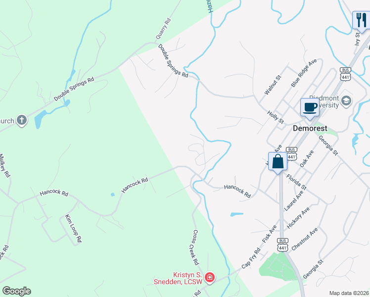 map of restaurants, bars, coffee shops, grocery stores, and more near 650 Bald Ridge Circle in Demorest