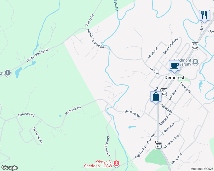 map of restaurants, bars, coffee shops, grocery stores, and more near Bald Ridge Circle in Demorest