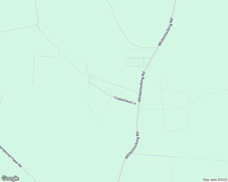 map of restaurants, bars, coffee shops, grocery stores, and more near 202 Copperhead Lane in Burgaw