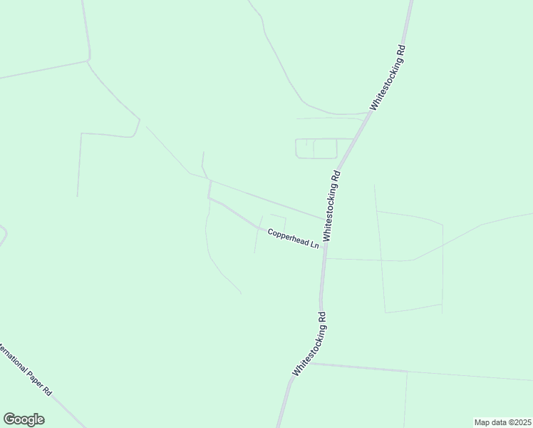 map of restaurants, bars, coffee shops, grocery stores, and more near 202 Copperhead Lane in Burgaw