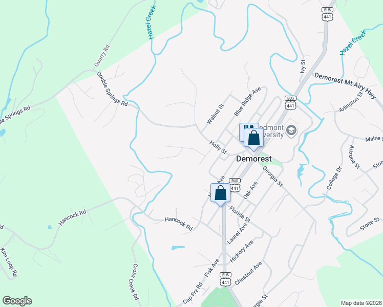 map of restaurants, bars, coffee shops, grocery stores, and more near 155 Tennessee Street in Demorest