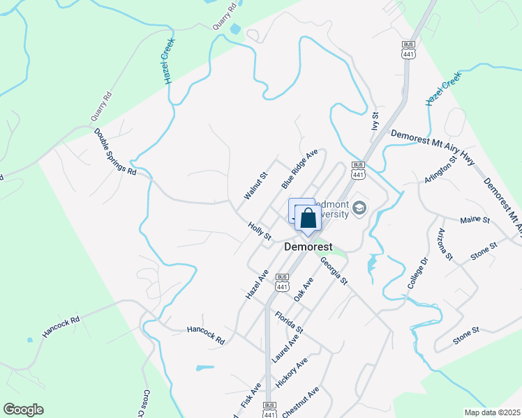 map of restaurants, bars, coffee shops, grocery stores, and more near 362 Blue Ridge Avenue in Demorest