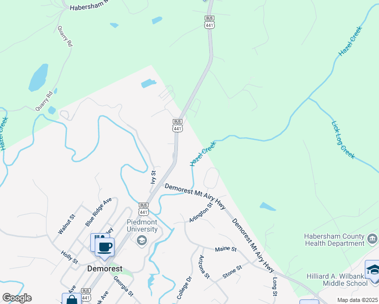 map of restaurants, bars, coffee shops, grocery stores, and more near 1522 Central Avenue in Demorest