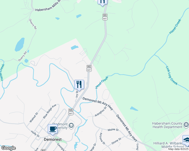 map of restaurants, bars, coffee shops, grocery stores, and more near 1522 Central Avenue in Demorest