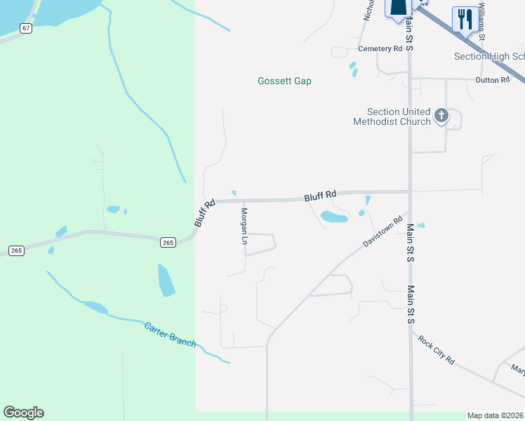 map of restaurants, bars, coffee shops, grocery stores, and more near 504 Bluff Road in Section