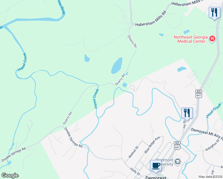 map of restaurants, bars, coffee shops, grocery stores, and more near in Demorest