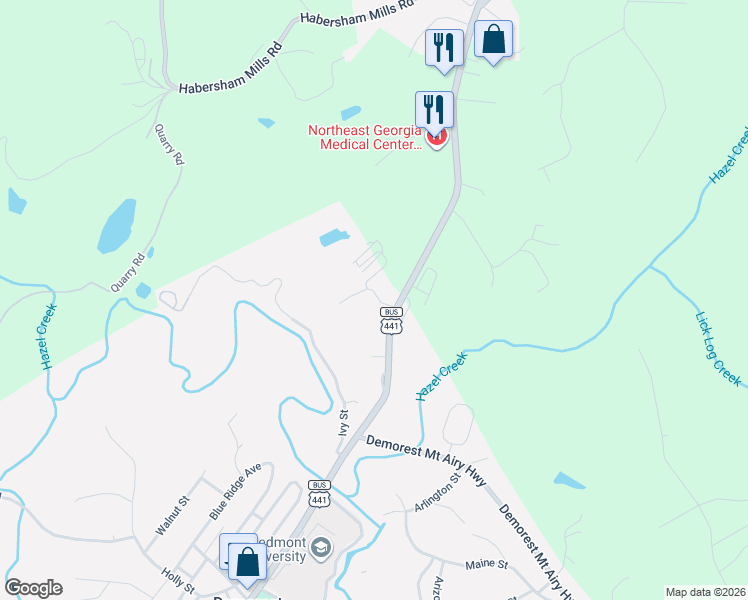 map of restaurants, bars, coffee shops, grocery stores, and more near 165 Alder Street in Demorest